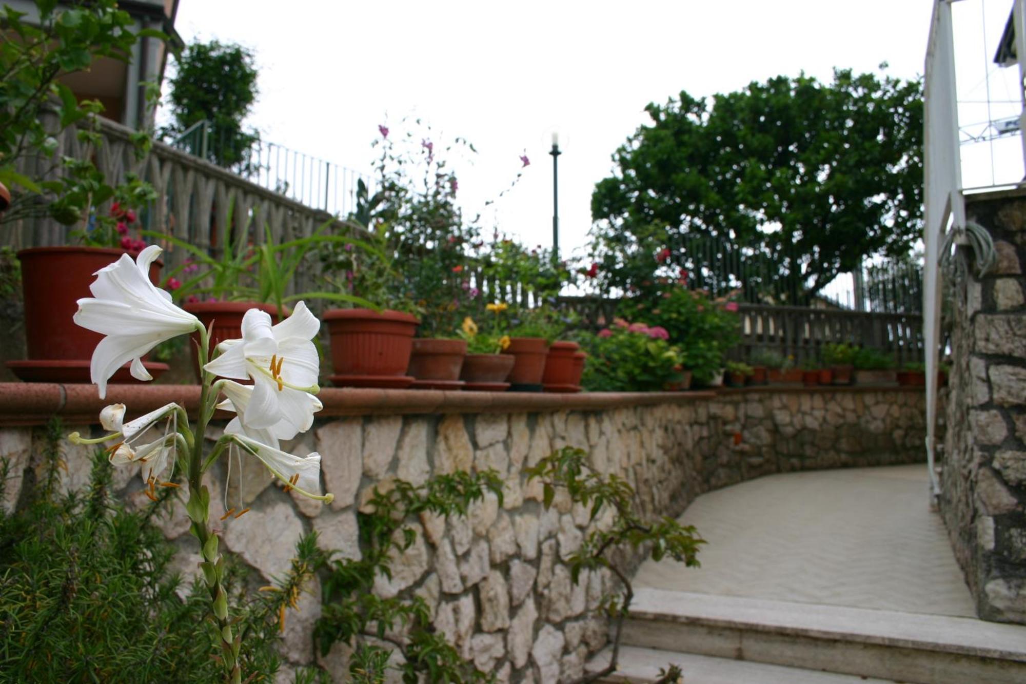 B&B La Baia Di Fiascherino Citr01101Sei-Beb-0011 Tellaro Eksteriør billede