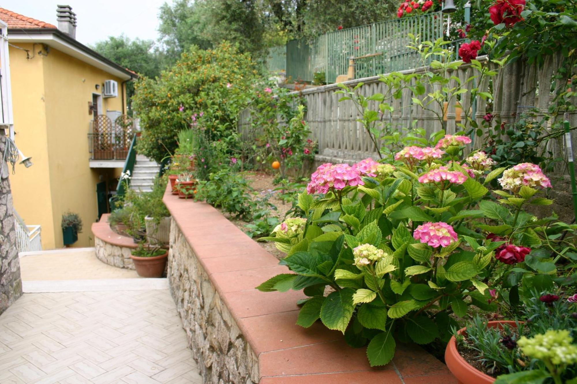 B&B La Baia Di Fiascherino Citr01101Sei-Beb-0011 Tellaro Eksteriør billede